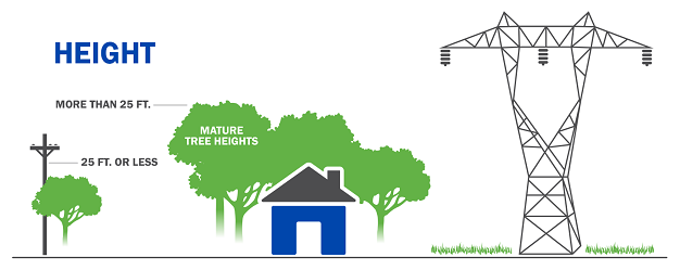 Graphic showing safe tree heights for power lines
