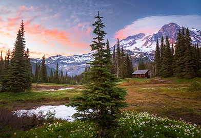 In Anticipation of Summer by Katsuyuki Shibata