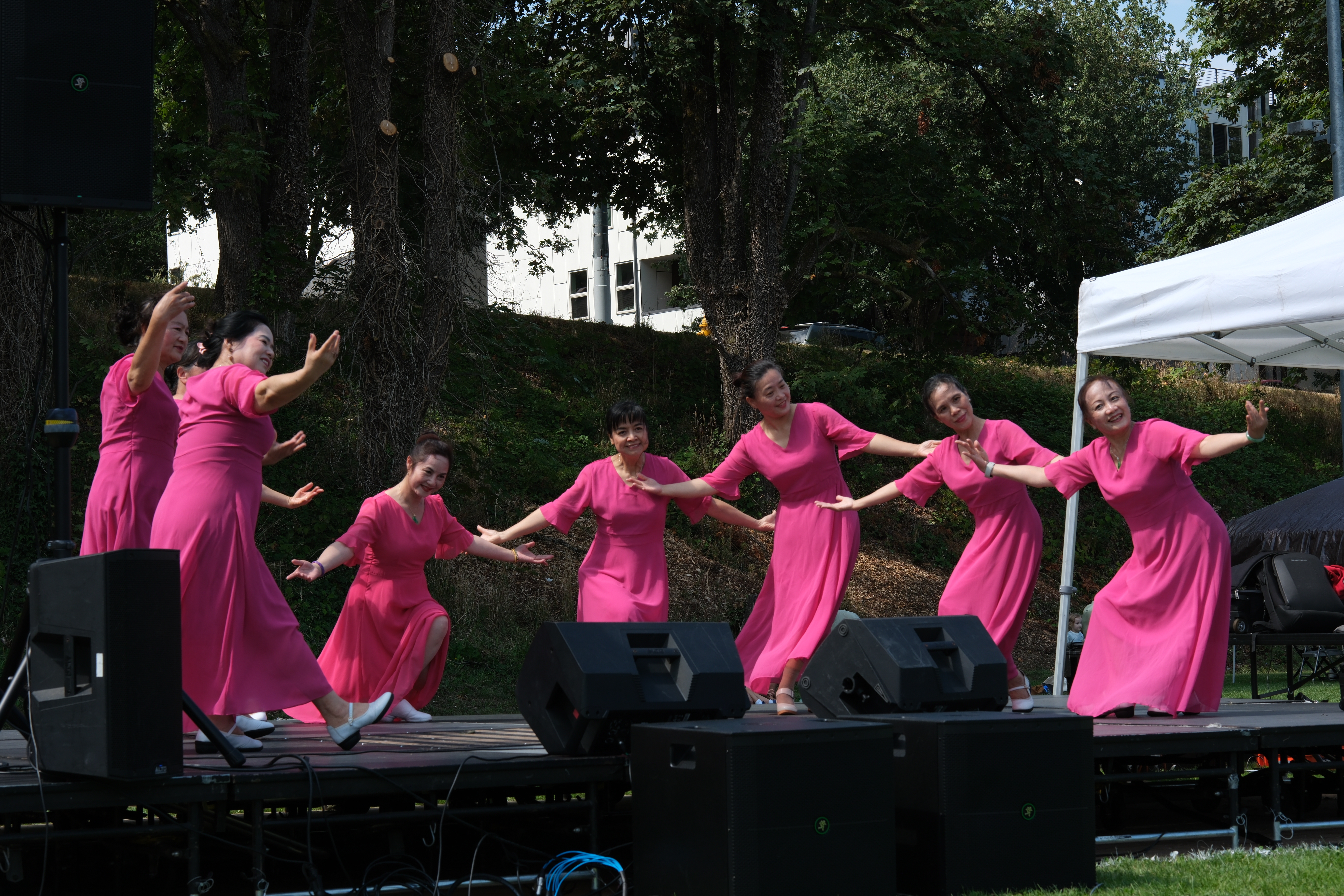 A performance by a Chinese dance troupe, all dressed in matching pink gowns