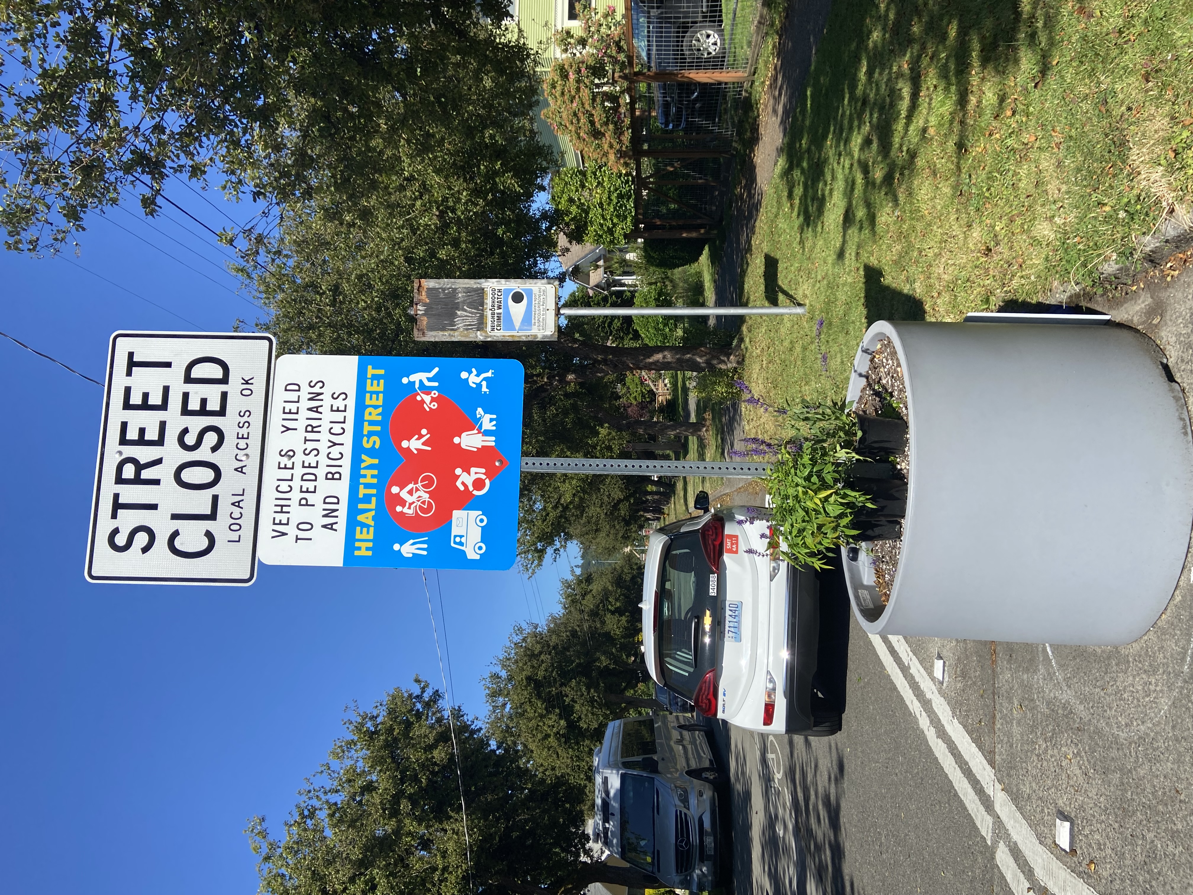 Image of a Healthy Street planter with plants inside 