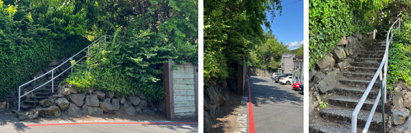 Old cement stairway in rockery, and wooden retaining wall. 