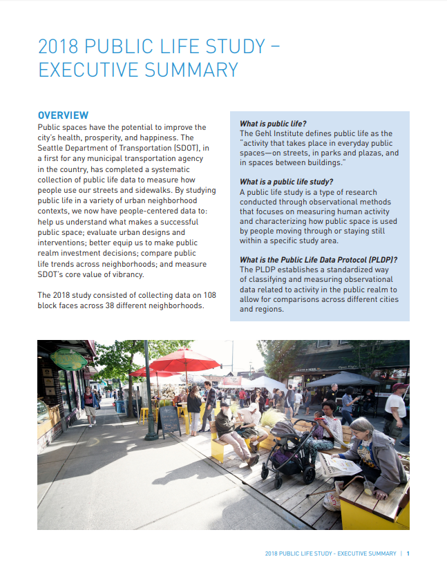 Public Life Study 2018 Executive Summary cover