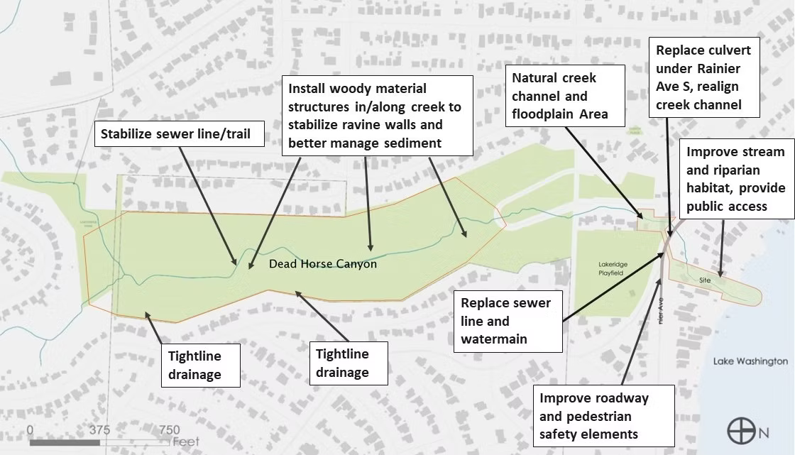 A map diagram of the Taylor Creek Restoration Project area showing a creek running from Lake Washington south through the Dead Horse Canyon area which is surrounded by residential streets and houses. Project improvement areas are labelled from north&mdash;on the shore of Lake Washington&mdash;to south&mdash;at the southern edge of Dead Horse Canyon&mdash;as follows: Improve stream and riparian habitat, provide public access. Replace culvert under Rainier Ave S, realign creek channel. Improve roadway and pedestrian safety elements. Replace sewer line and watermain. Natural creek channel and floodplain area. Install woody material structures in/along creek to stabilize ravine walls and better manage sediment. Tightline drainage. Stabilize sewer line/trail.