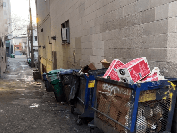 Cardboard in designated container in alley.