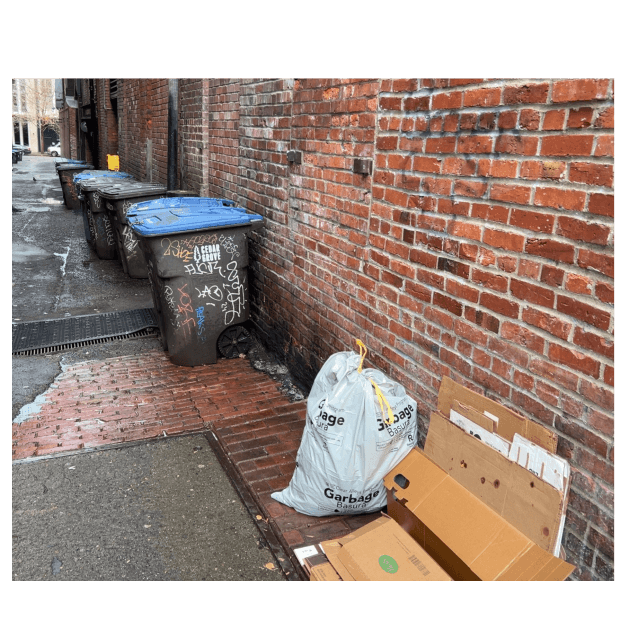 Alley with designated collection areas.