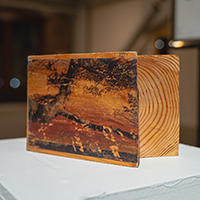A piece of wood with a glitched photograph embedded onto one side.