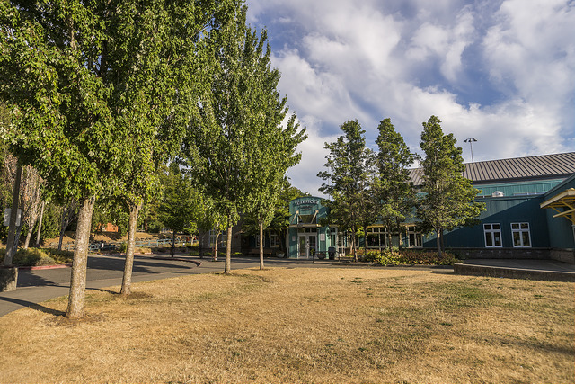 Delridge Community Center lawn