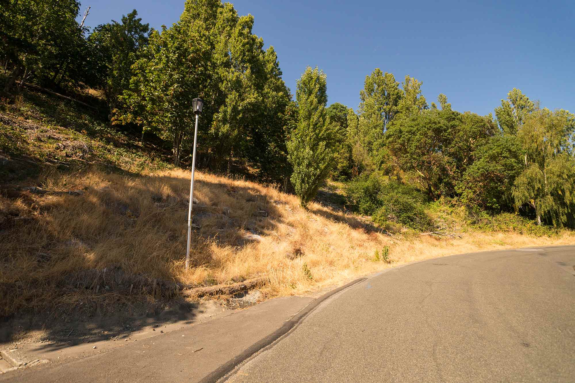 Arroyos Natural Area lamp and road - Photo by TIA International Photography