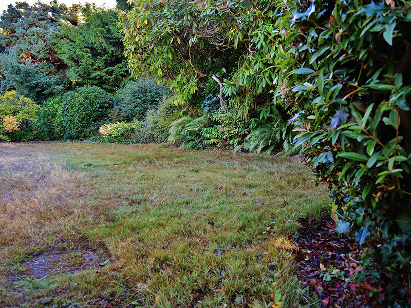 Grassy area at Blue Ridge Places
