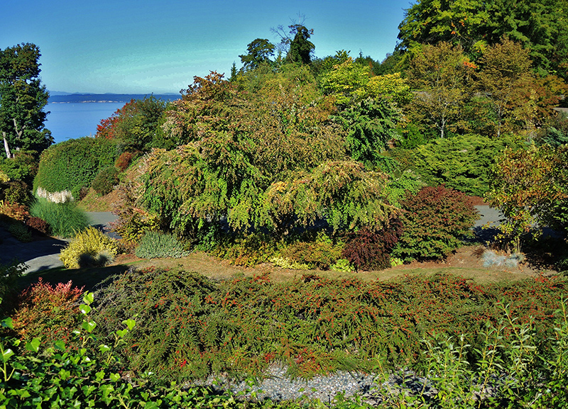 Blue Ridge Places view