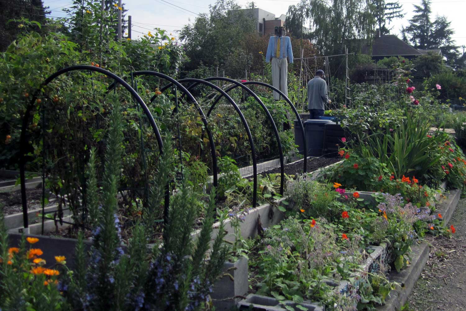 Bradner Gardens Park planting beds
