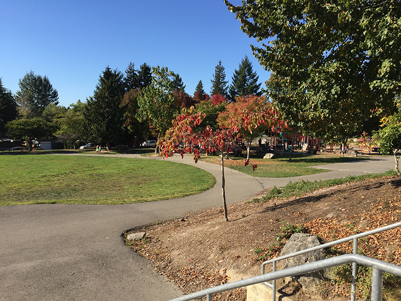 Cedar Park plaza and treets