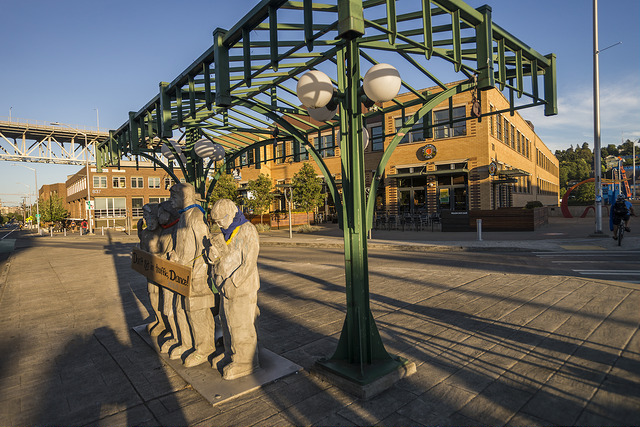 Cheshiahud Lake Union Loop artwork