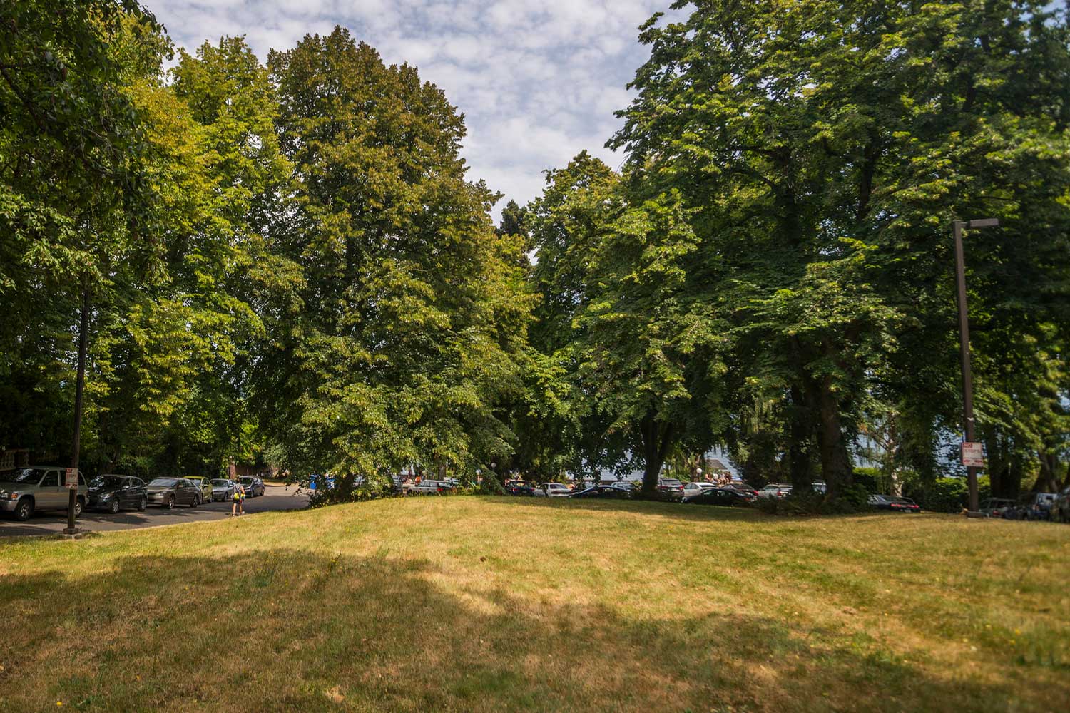 Denny Blaine Park trees and lawn - photo by TIA International Photography