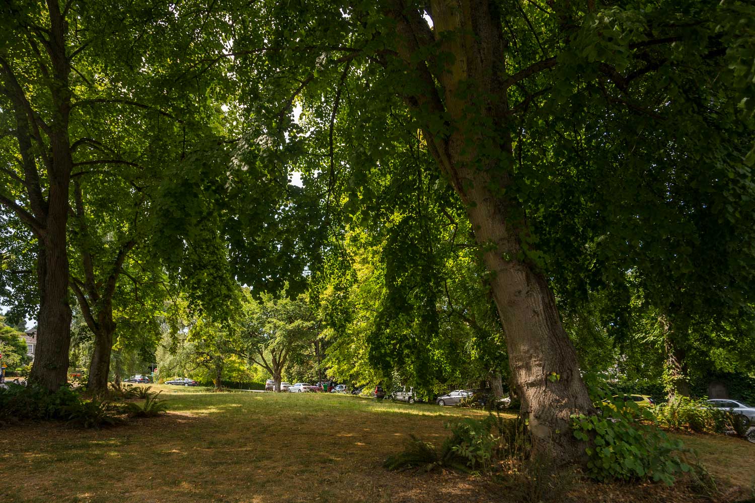 Denny Blaine Park lawn - photo by TIA International Photography