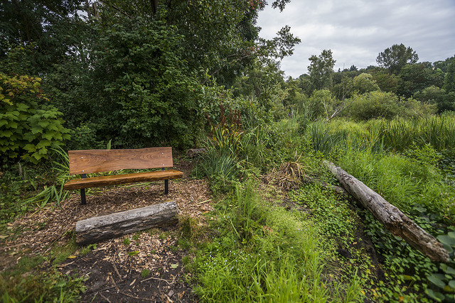 East Montlake Park bench