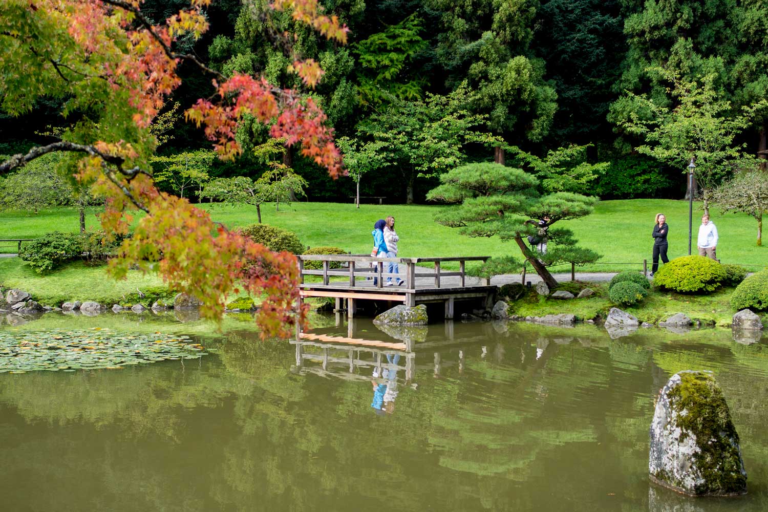 Visitors near the water at the Seattle Japanese Garden - photo by David Okrent