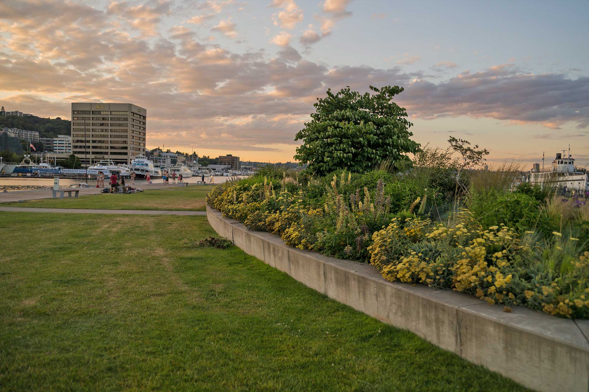 Lake Union Park - Photo by TIA International Photography