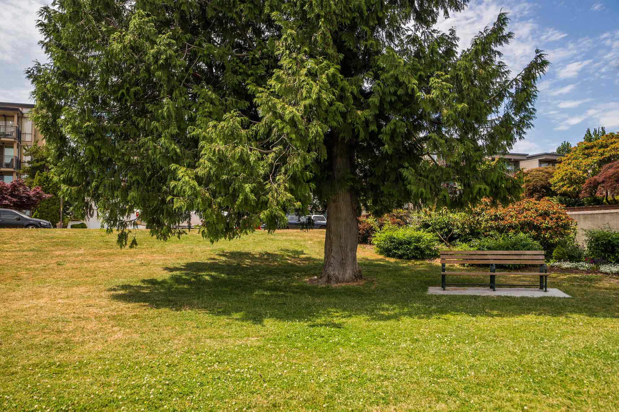 Madison Park North Beach beach - Photo by TIA International Photography