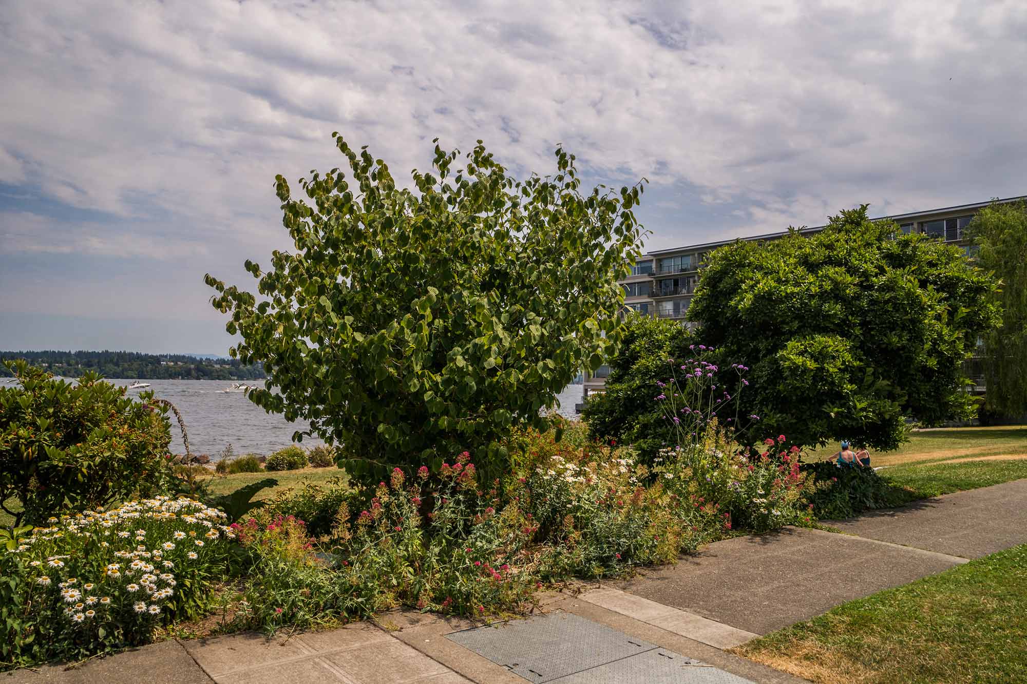 Madison Park North Beach paths and landscape - Photo by TIA International Photography