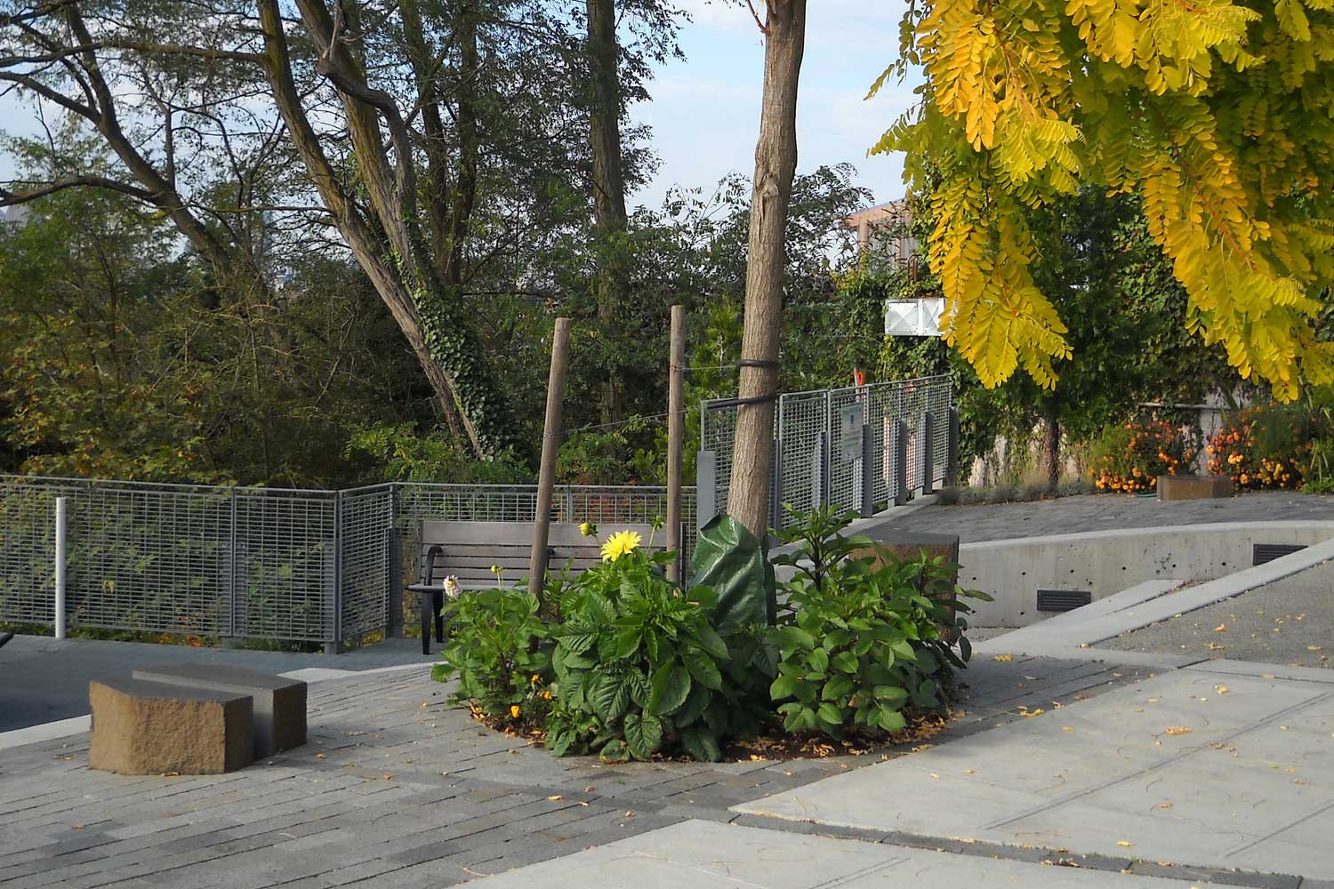 Mt Baker Ridge Viewpoint landscaping - photo by TIA International Photography