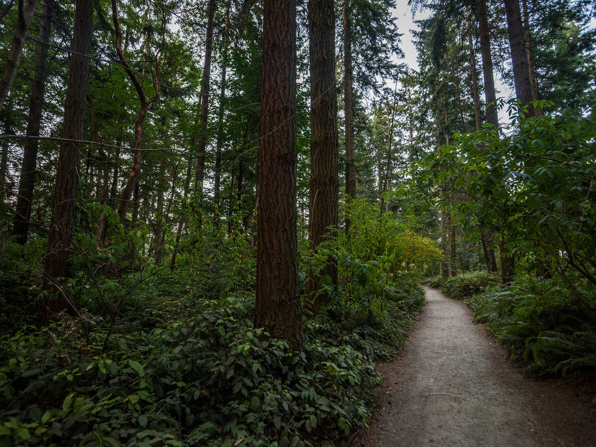 Northacres Park woods and paths