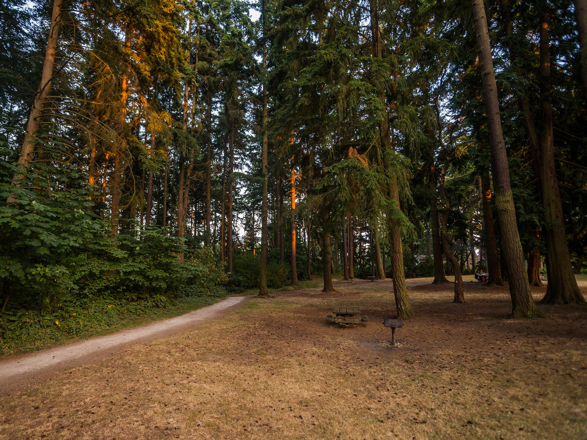 Northacres Park path