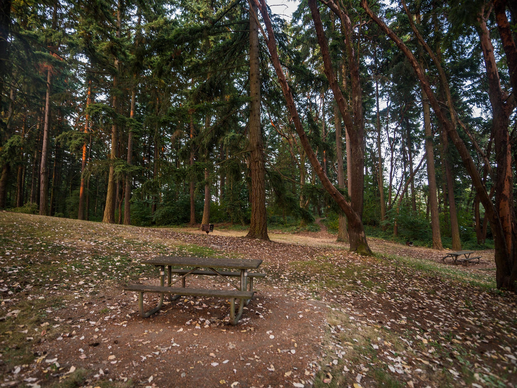 Northacres Park picnic table