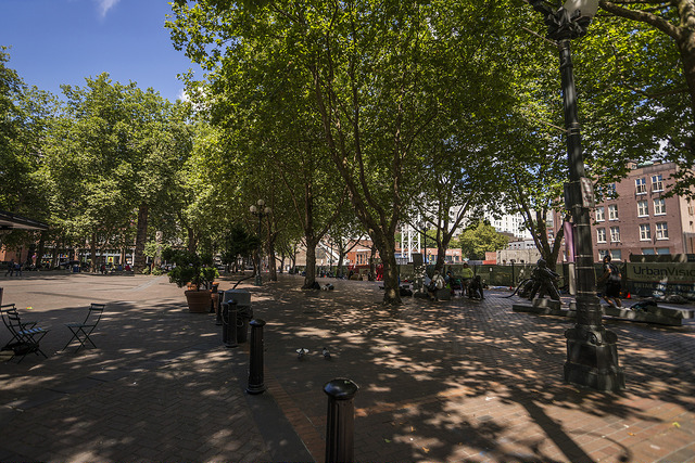 Occidental Square plaza with trees
