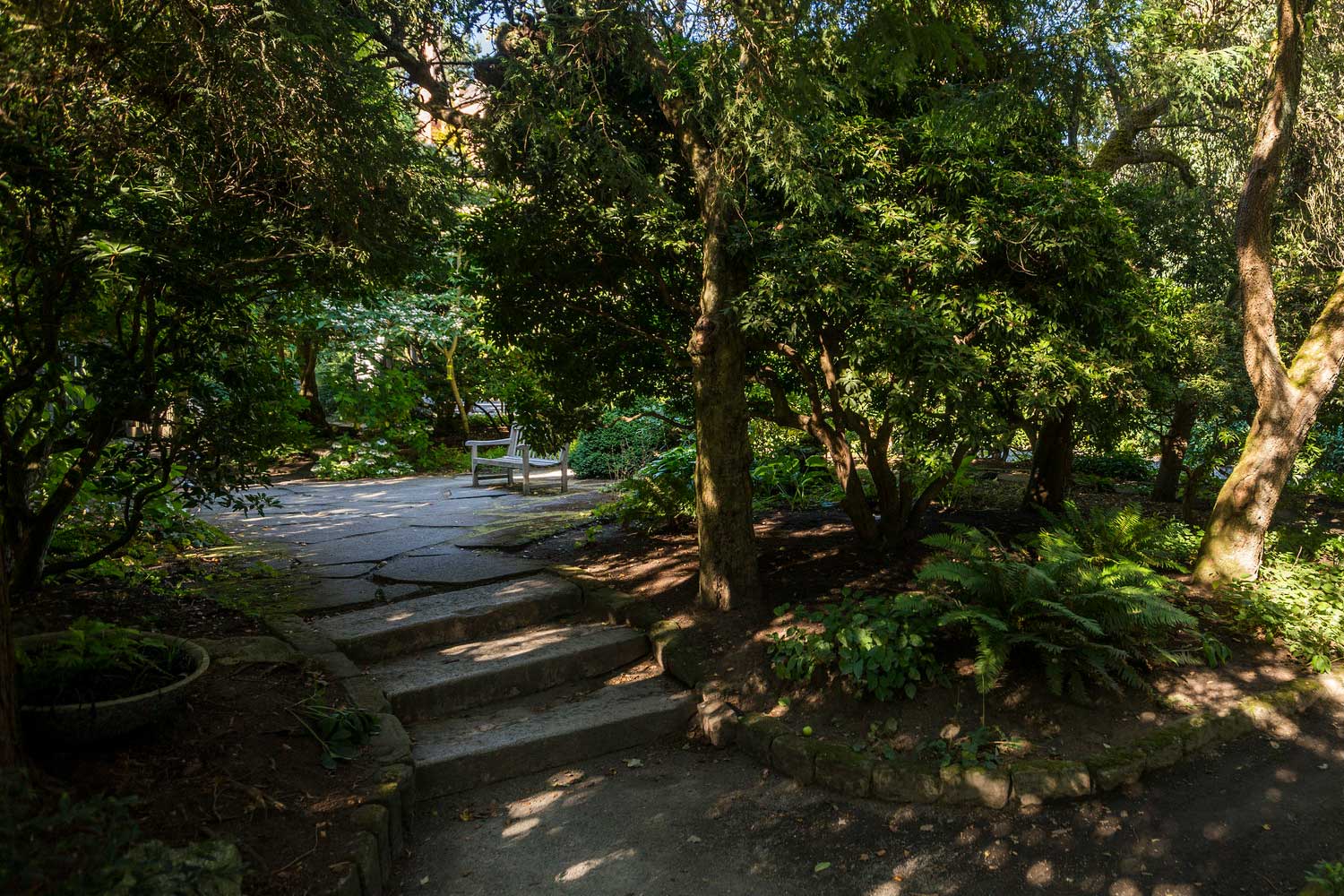 Elevated seating area at Parsons Gardens - photo by TIA International Photography