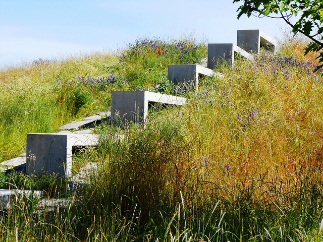 Magnuson Park Sun Steps