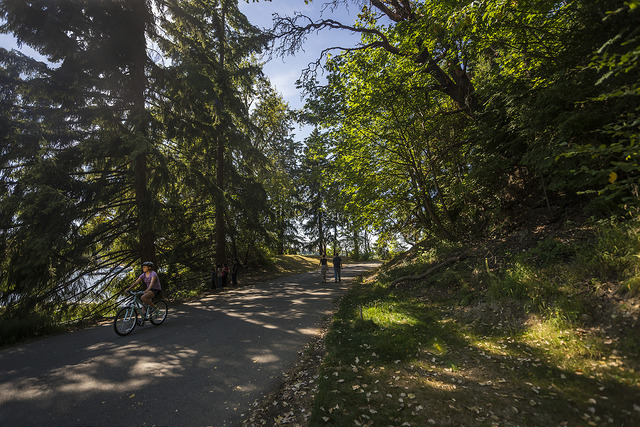 Seward Park sandy paths