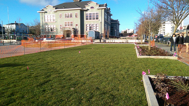 University Heights Plaza lawn