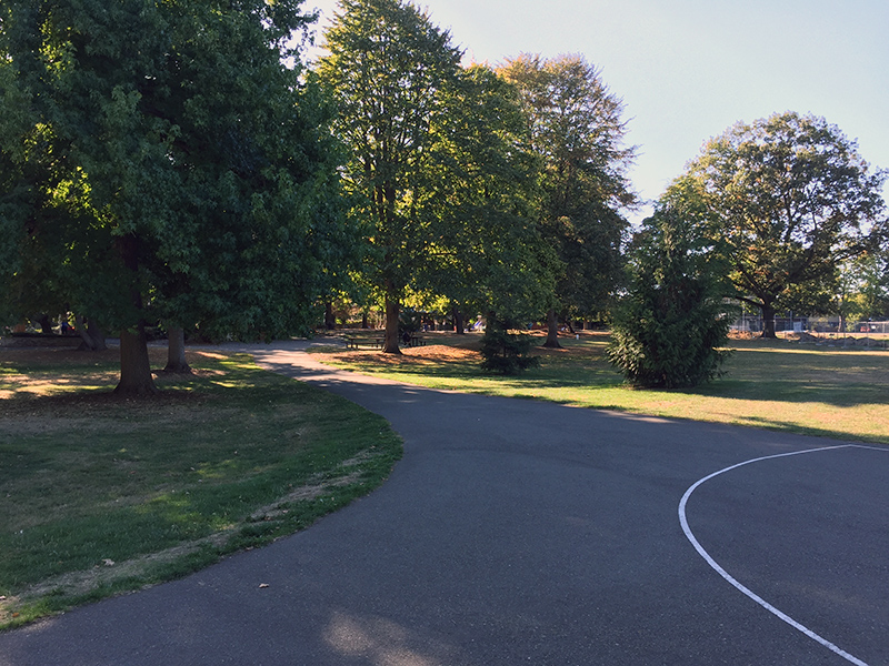 View Ridge Playfield paths and trees