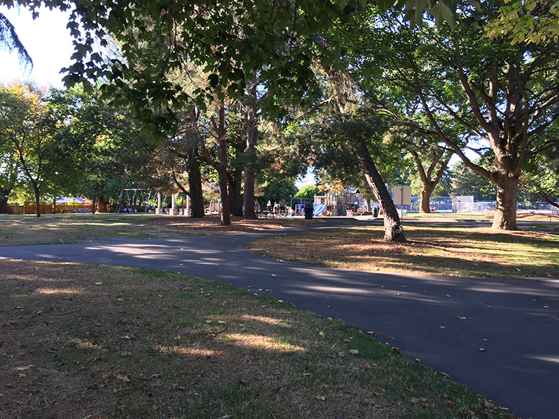 View Ridge Playfield paths, trees, and play area