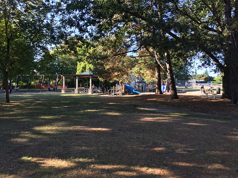 View Ridge Playfield playground