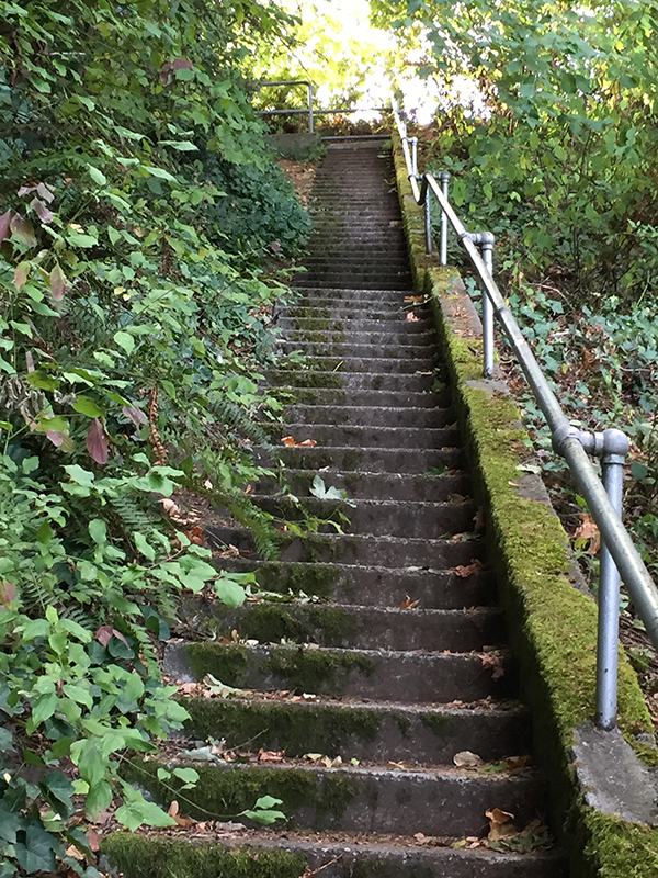 Viretta Park stairs