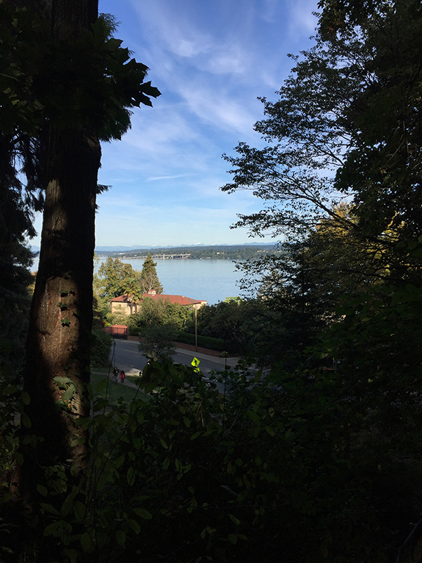 Viretta Park view of Lake Washington