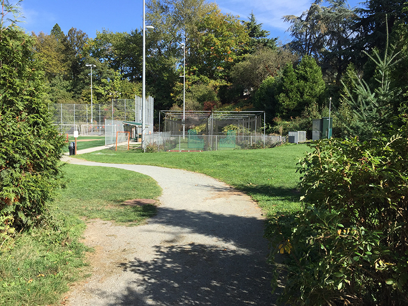 Path to the playfield
