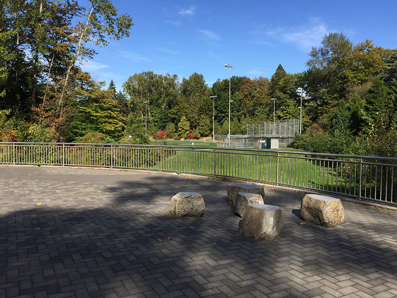 Overlook of playfield