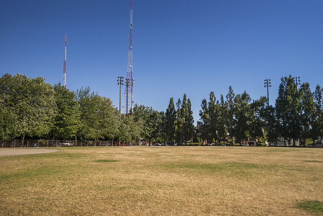 West Queen Anne Playfield field and lawn