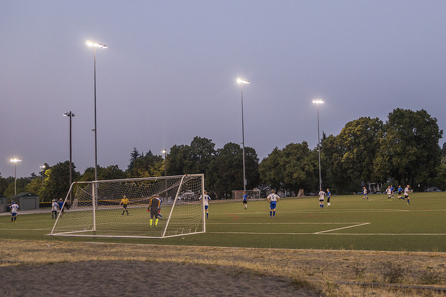 Woodland Park fields