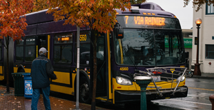 A person waiting to board the number 7 bus