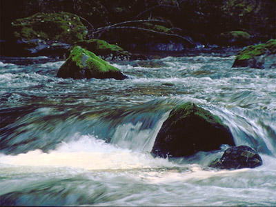 Lower Watershed: The clean, reliable water delivered from the Cedar River is some of the best in the world!