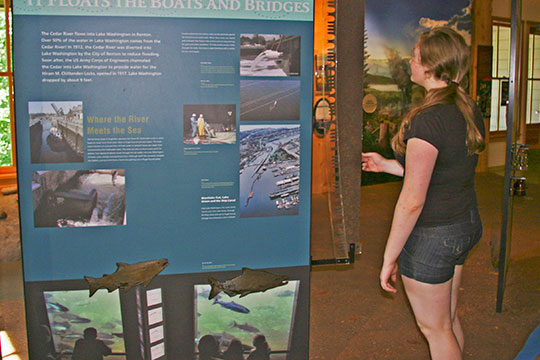 Where does the river go and who lived in the Cedar River Watershed? Hanging panels tell the tale.