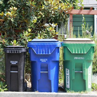 Photo of different types of carts on a street curb