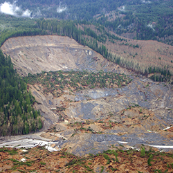 Flood damage on the side of a hill and road